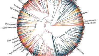 Ученые подтвердили существование универсальных грамматических законов в языках мира