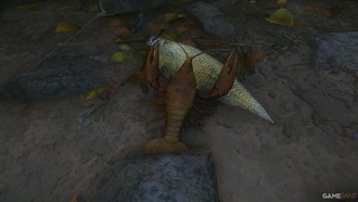 Гайд на задание «Насущный хлеб» в Kingdom Come: Deliverance 2 — где найти книгу и раков