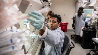 Ученые выяснили, что редактирование генов в нейронах работает иначе