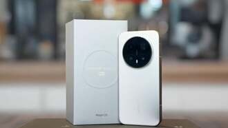 Утечка данных о Honor Magic 8 Mini: 6.31-дюймовый экран, толщина 5–6 мм и неожиданно большая батарея