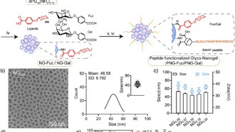Новая технология наногелей уничтожает устойчивые к антибиотикам бактерии за несколько часов