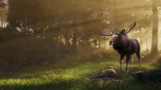 Создатели Way of the Hunter анонсировали новое охотничье приключение