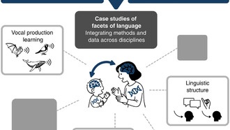 Новое исследование: язык возник из взаимодействия биологии и культуры
