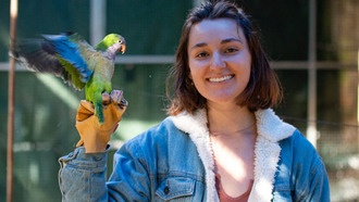 Попугаи монахи учат людей заводить друзей