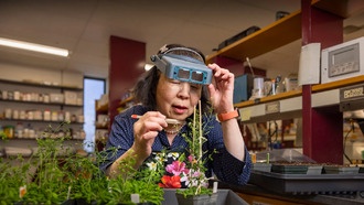 Открытие в селекции растений может привести к созданию новых сельскохозяйственных культур