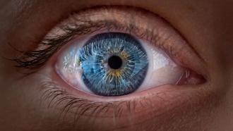 Терапия стволовыми клетками восстанавливает зрение пациентам с возрастной макулодистрофией