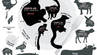 Лемуры Мадагаскара оказались под угрозой из-за торговли мясом для гурманов