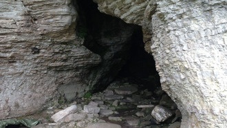 На острове в Балтийском море найдены древние волки, жившие рядом с людьми