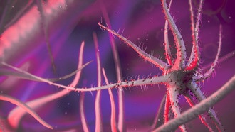 Новая мРНК-терапия показала эффективность против устойчивых к антибиотикам бактерий