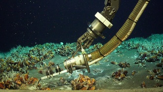 У побережья Папуа-Новой Гвинеи обнаружен уникальный глубоководный оазис жизни