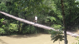 Засуха не объясняет крах цивилизации майя: новое исследование