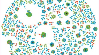 Устойчивые к антибиотикам бактерии свободно перемещаются между людьми, животными и окружающей средой