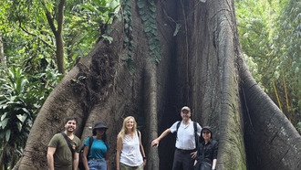 Леса Африки превратились из поглотителя в источник углерода