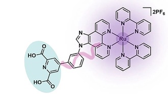 Фототерапия может победить устойчивость бактерий к антибиотикам
