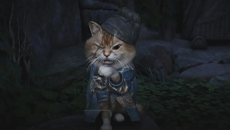 Where Winds Meet: полное руководство по всем головоломкам Мяу-Мяу в Цинхэ