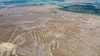 В Боливии обнаружены следы древней цивилизации в джунглях Амазонки