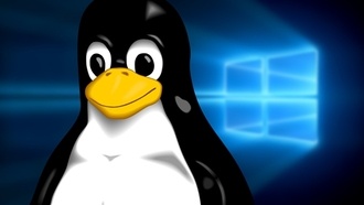 Доля Linux на десктопах достигла 12% в США, если считать ChromeOS