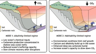 Коралловые рифы стабилизировали углеродный цикл Земли на протяжении 250 миллионов лет