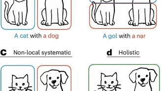 Ученые выяснили, почему человеческий язык сложнее, чем мог бы быть