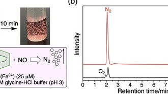 Случайное открытие: токсичный оксид азота превращается в азот при комнатной температуре