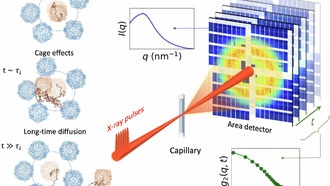 Рентгеновский лазер позволил заглянуть внутрь клетки и увидеть движение белков