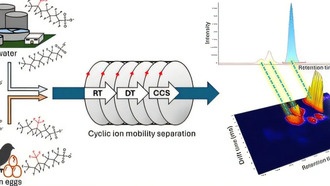 Исследование показало, что разные изомеры PFAS накапливаются в пищевой цепи по-разному