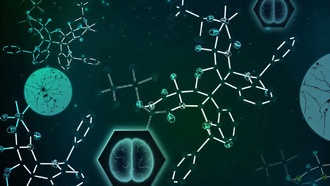 Химики впервые синтезировали перспективное противогрибковое соединение для лечения рака мозга