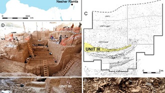 Архаичные люди были стратегическими и разборчивыми охотниками, предполагает новое исследование