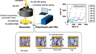 Ученые впервые заглянули внутрь «умных» гелей под нагрузкой
