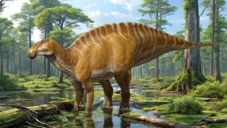 В Нью-Мексико идентифицирован новый вид массивного утконосого динозавра