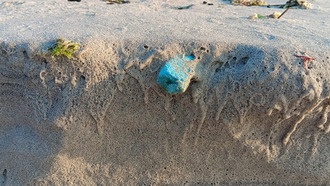 Микропластик в океанах может искажать понимание углеродного цикла