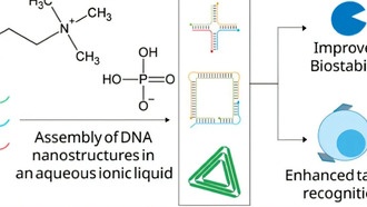 ДНК-наноконструкции получили «защитный костюм» для работы в организме