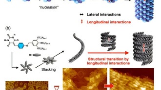 Учёные создали супрамолекулярные полимеры с кооперативной самоорганизацией