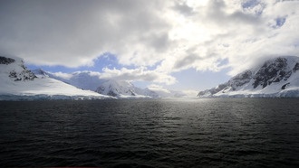 Единственное насекомое Антарктиды уже ест микропластик
