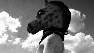 Студия Santa Ragione может закрыться после бана игры Horses в Steam и EGS