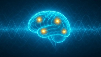 Сознание может быть связано с квантовым вакуумом, заявляют учёные