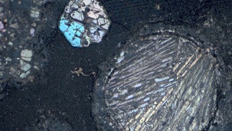 Исследование оценило потенциал добычи ресурсов на углеродистых астероидах