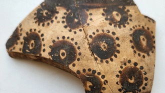 Древнейшие изображения растений на керамике раскрывают математическое мышление предков