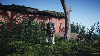 Как подружиться с Фу Лушоу в Where Winds Meet