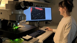 Учёные выяснили, как микробы выживают в бедных питательными веществами водах океана