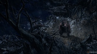 Гайд по сборке Друида-медведя в Path of Exile 2: Последние из друидов