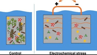 Учёные представили экологичное электрохимическое покрытие для борьбы с обрастанием судов