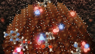 Ученые раскрыли механизм улавливания углерода почвами с помощью железа