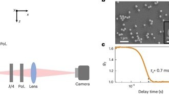 Ученые обнаружили «скрытый порядок» в хаотических системах