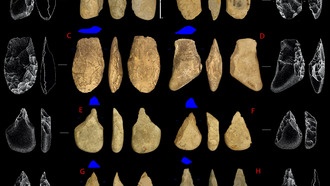 Раскопки в Терра-Амата показали технологическую гибкость первых людей Европы