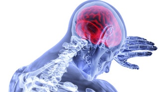 Гормоны используют внеклеточные везикулы для доступа в мозг