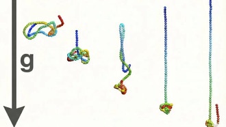 Физики раскрыли механизм самопроизвольного завязывания узлов в жидкостях