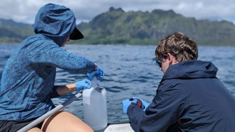 Учёные раскрыли сложную структуру самых многочисленных океанских бактерий