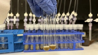 Ученые обнаружили, что микробное разложение растений временно увеличивает молекулярное разнообразие почвы