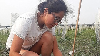 Генетическая «командная работа» может быть ключом к созданию устойчивых к климату растений